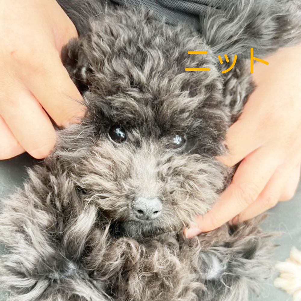生徒が撮影した写真☆☆☆①